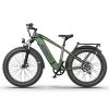 AOSTIRMOTOR new pattern 26" 1000W Electric Bike Fat Tire 52V30AH Removable Lithium Battery for Adults - as Pic