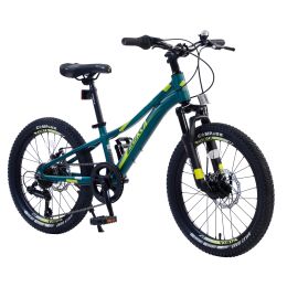 Mountain Bike for Girls and Boys Mountain 20 inch shimano 7-Speed bike - as Pic