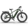 AOSTIRMOTOR new pattern 26" 1000W Electric Bike Fat Tire 52V30AH Removable Lithium Battery for Adults - as Pic