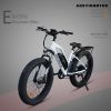 AOSTIRMOTOR Hot Fat Tire Adults Electric Bicycle 26 In. Electric Mountain Bike; 48V 13AH ; S07-G(White) - as picture