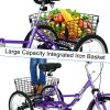 Adult Folding Tricycle ; Foldable 20 inch 3 Wheel Bikes; Single Speed Portable Cruiser Bicycles with Shopping Basket for Seniors; Women; Men - as Pic