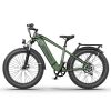 AOSTIRMOTOR New Pattern King 26" 1000W Electric Bike 26in Fat Tire 52V15AH Removable Lithium Battery for Adults KING - as picture